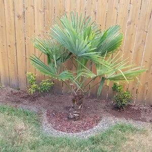 Meet your Posher, Loretta